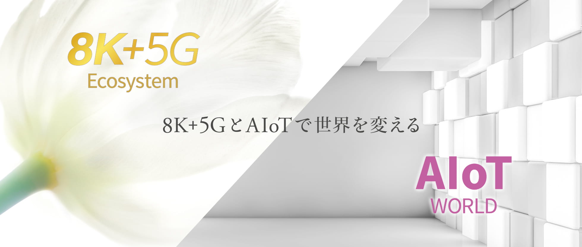 8K + 5G Ecosystem | AIoT World | 8KとAIoTで世界を変える