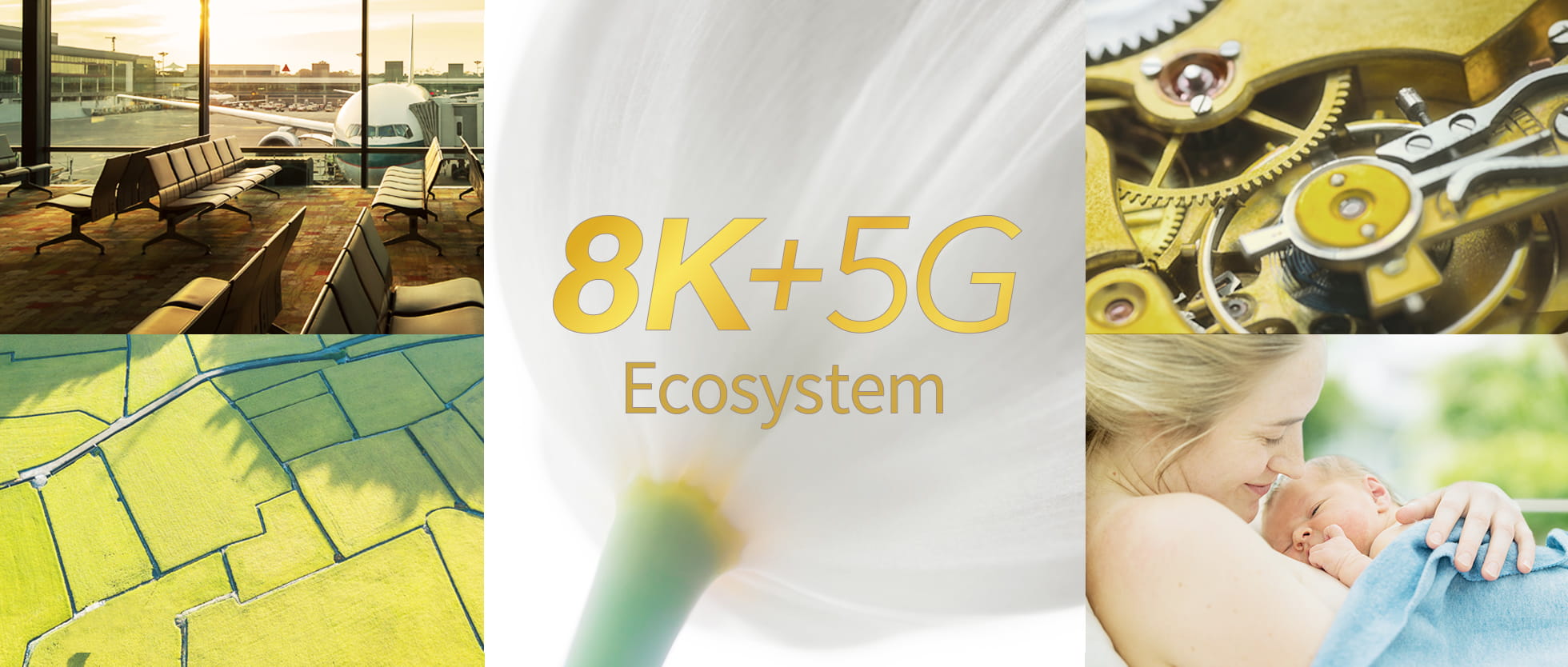 8K + 5G Ecosystem