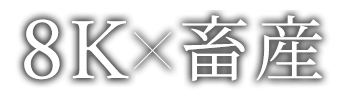 8K×畜産