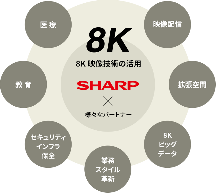 システム と は エコ