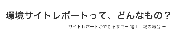 環境サイトレポートって、どんなもの？