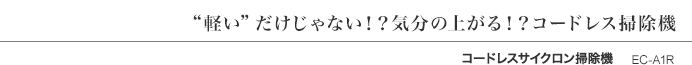 “y”ȂIHC̏オIHR[hX|@ R[hXTCN|@