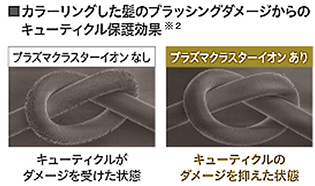 カラーリングした髪のブラッシングダメージからのキューティクル保護効果※2