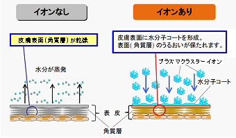肌保湿メカニズム（イメージ図）水分子コーティング機能