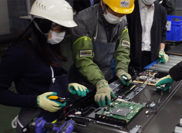 解体実習の様子の写真
