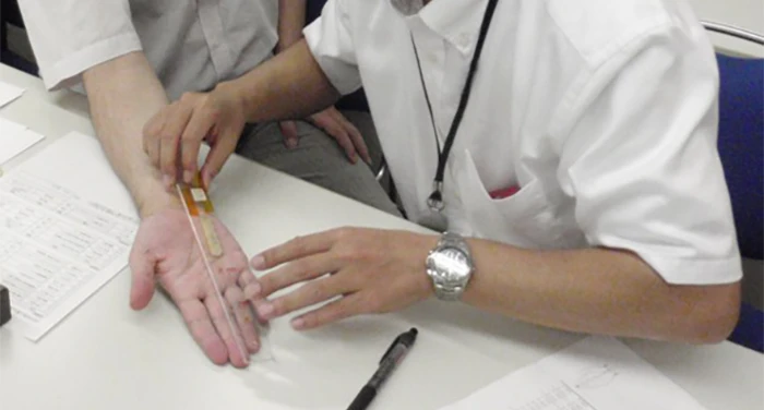 2人でペアになって手長を計測している様子