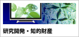 研究開発・知的財産