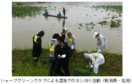 シャープグリーンクラブによる湿地でのヨシ刈り活動
（新潟県・佐潟）