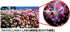 フルHD(1,920×1,080)解像度(約207万画素)