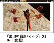 「里山の昆虫ハンドブック」(NHK出版)