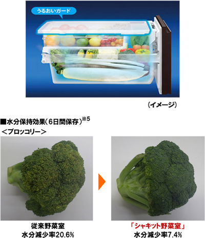 プラズマクラスター冷蔵庫 3機種を発売｜ニュースリリース：シャープ