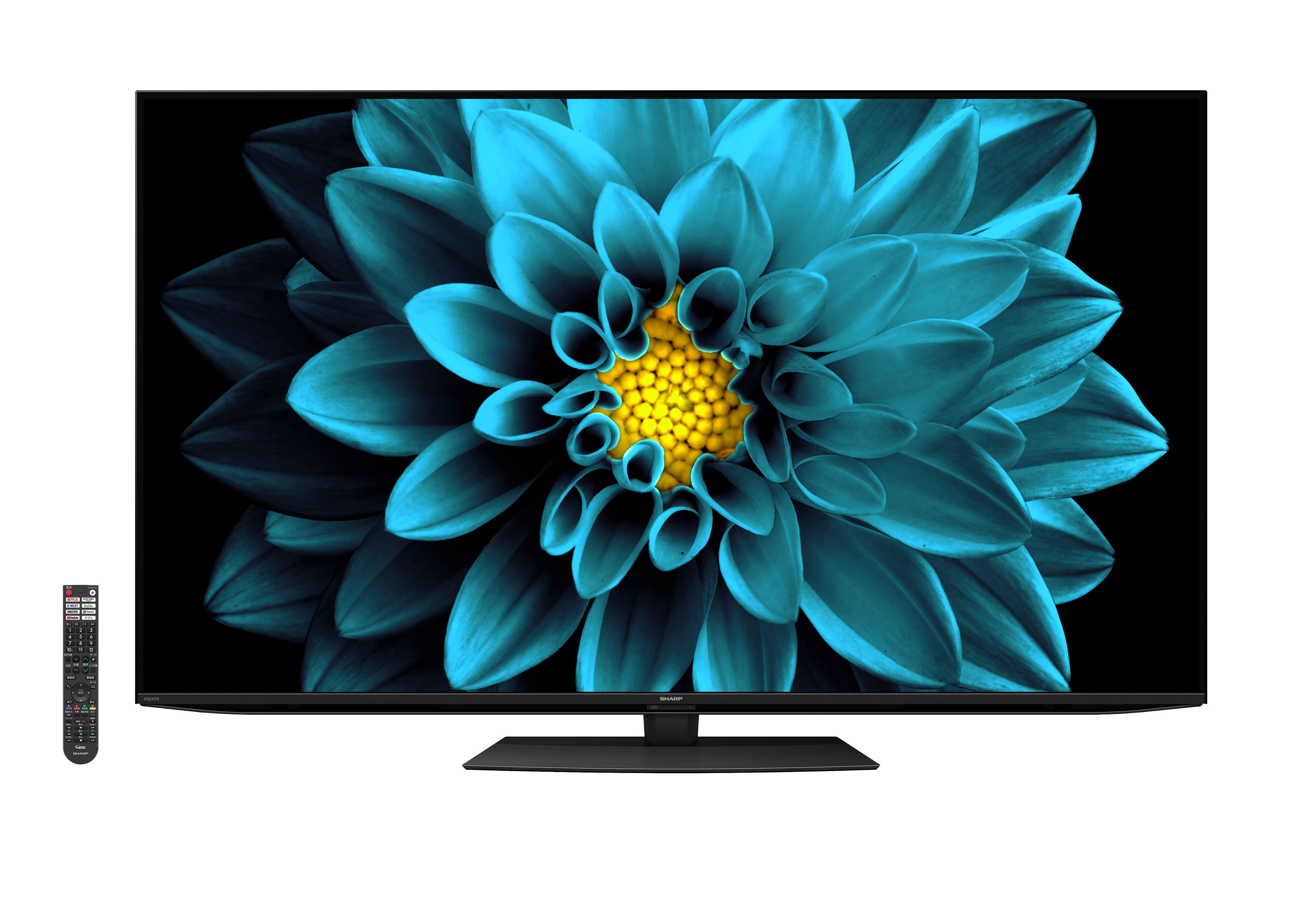 人気の春夏 SHARP AQUAS 50インチ 4K液晶テレビ 4T-C50CN1 テレビ