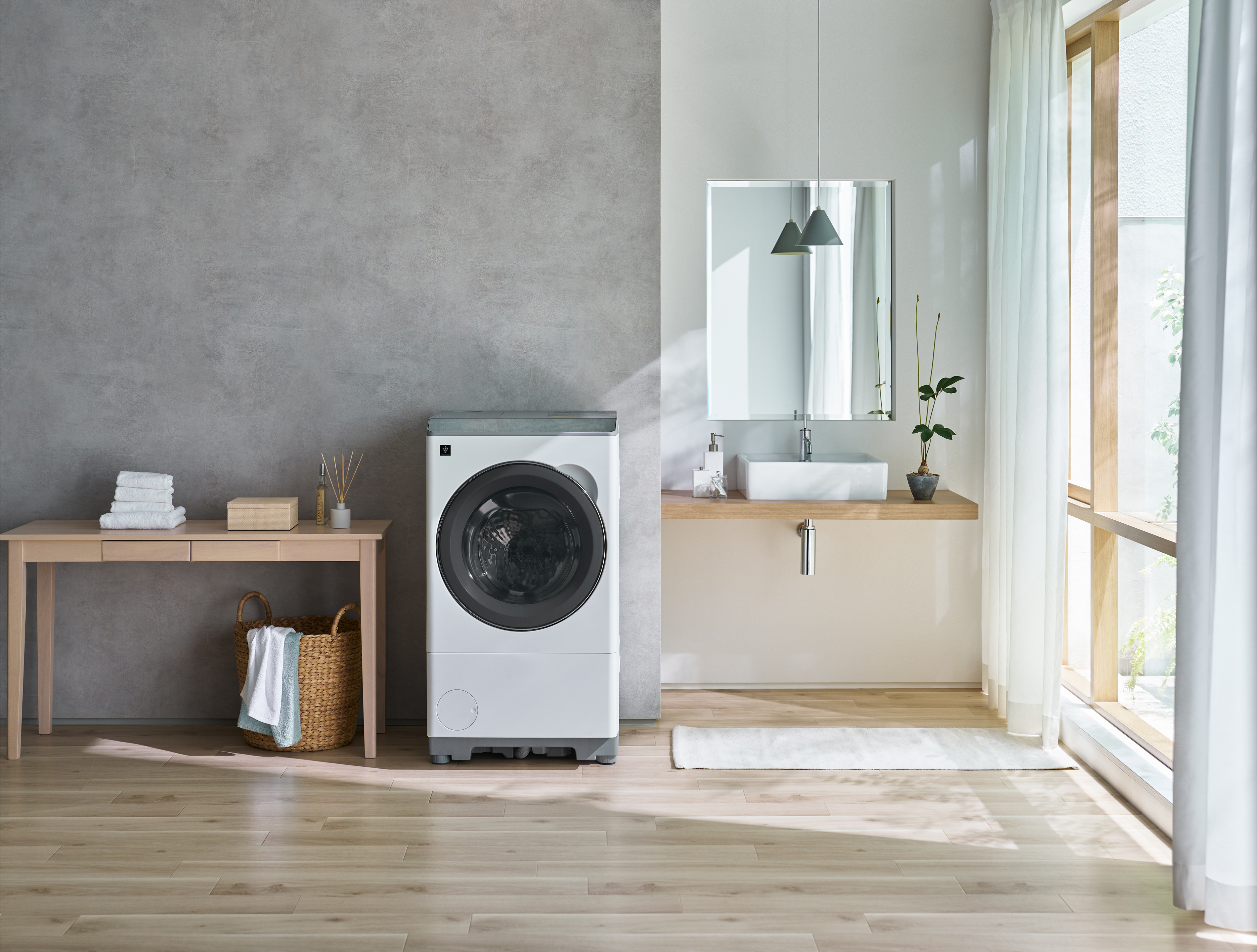 プラズマクラスタードラム式洗濯乾燥機<ES-12X1><ES-12P1