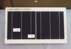 一般的な太陽電池モジュールのセル