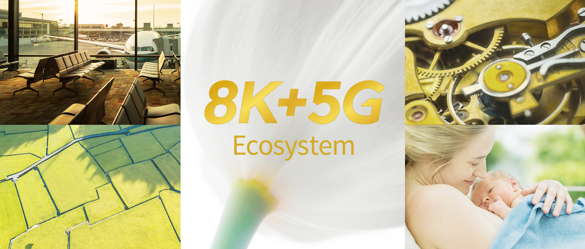 8K + 5G Ecosystem 