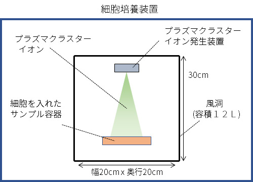 再生医療技術を用いて作製したヒトの気道上皮細胞で、 プラズマクラスター技術により喘息症状緩和に繋がる可能性を確認～米国コロンビア大学医学部にて検証～